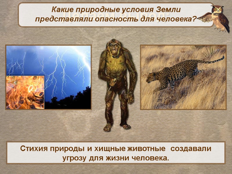 Делаем вывод: Стихия природы и хищные животные  создавали угрозу для жизни человека. 